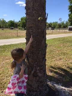 Easter Egg Hunt