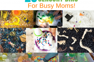 Sensory Bin Ideas