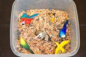 Bird Seed Sensory Bin