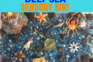 Sensory Bin Ideas