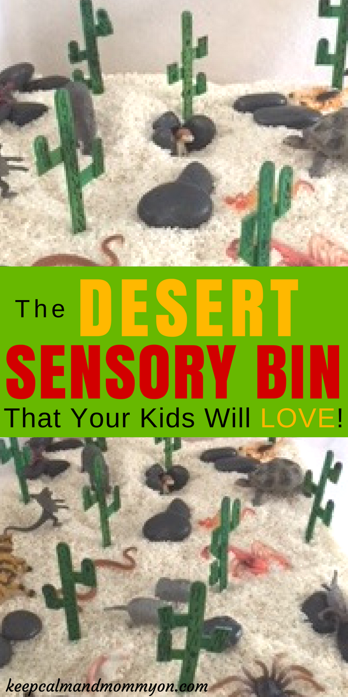 Desert Sensory Bin