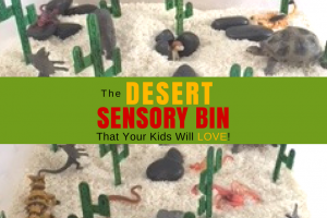 Desert Sensory Bin