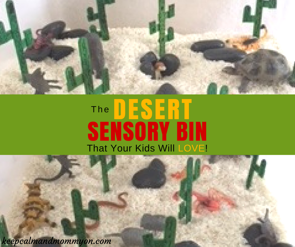 Desert Sensory Bin!