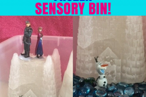 Frozen Sensory Bin