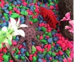 Fish Tank Sensory Bin