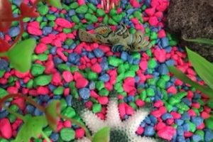 Fish Tank Sensory Bin