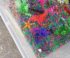 Fish Tank Sensory Bin