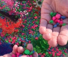 Fish Tank Sensory Bin