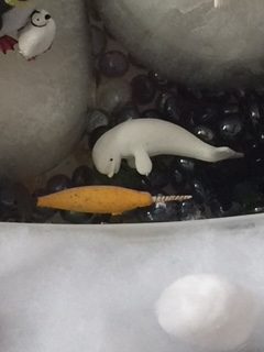 Antarctica Sensory Bin