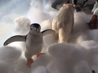 Antarctica Sensory Bin