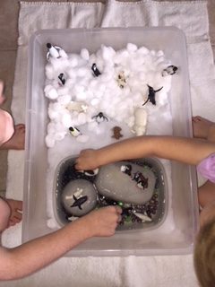 Antarctica Sensory Bin