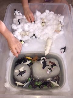 Antarctica Sensory Bin