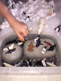 Sensory Bin Water Play