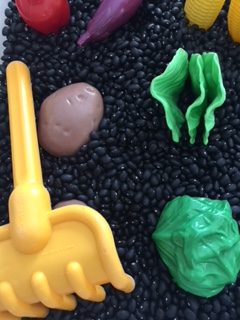 Vegetable Garden Sensory Bin