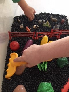 Vegetable Garden Sensory Bin