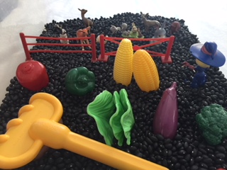 Vegetable Garden Sensory Bin