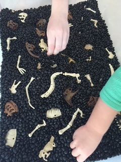 Dinosaur Dig Sensory Bin