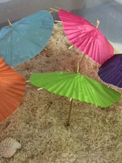 How to make paper umbrellas