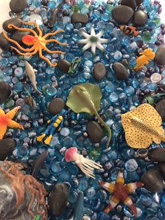 Sensory Bin Ideas