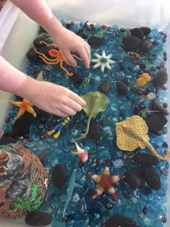 Sensory Bin Ideas