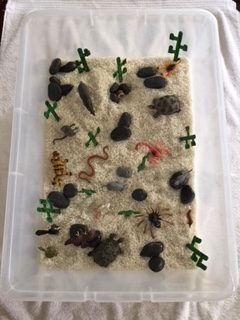 Desert Sensory Bin