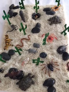 Desert Sensory Bin