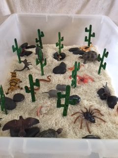 Desert Sensory Bin