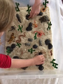 Desert Sensory Bin