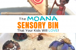 Moana Sensory Bin