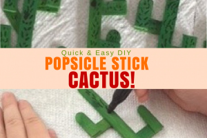 Popsicle Stick Crafts