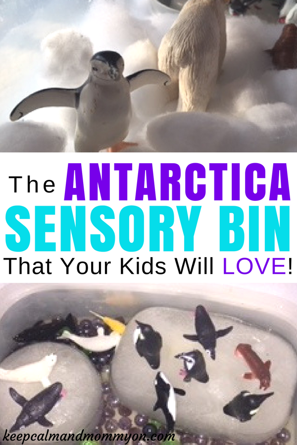 The Antarctica Sensory Bin That Your Kids Will Love