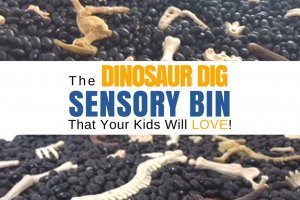 Dinosaur Dig Sensory Bin