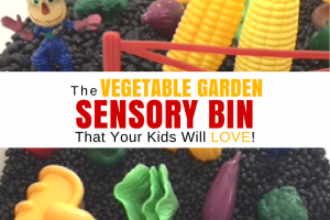 Vegetable Garden Sensory Bin