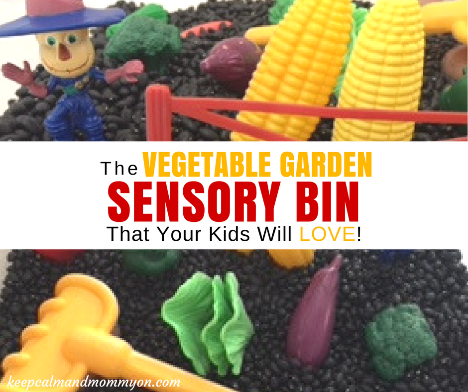 Vegetable Garden Sensory Bin!