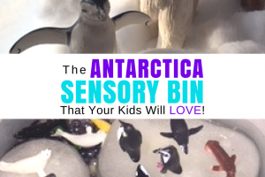 Antarctica Sensory Bin