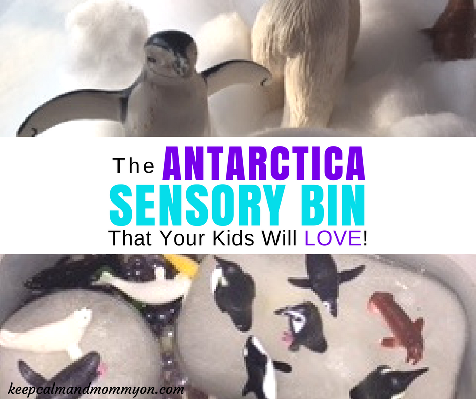 Antarctica Sensory Bin!