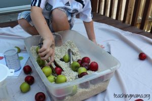 Apple Sensory Bin