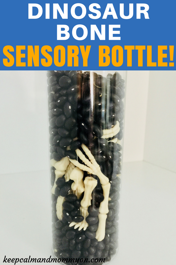 Sensory Bottles