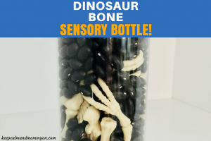 Sensory Bottles