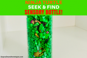 Sensory Bottles