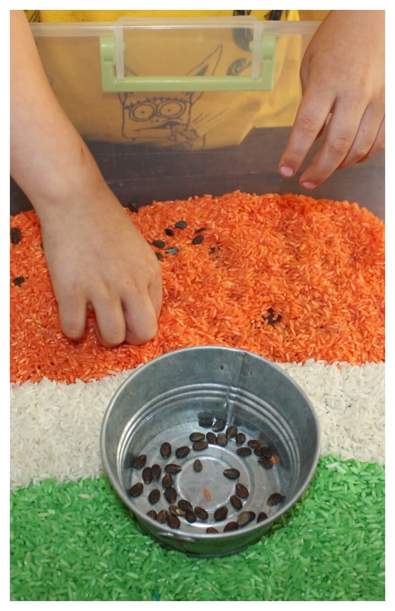 Sensory Play