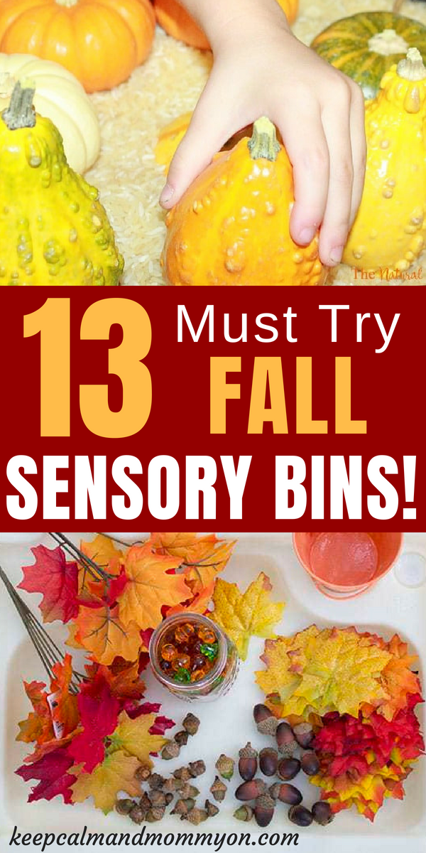 Sensory Play