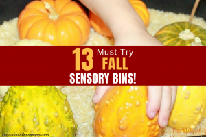 Sensory Play