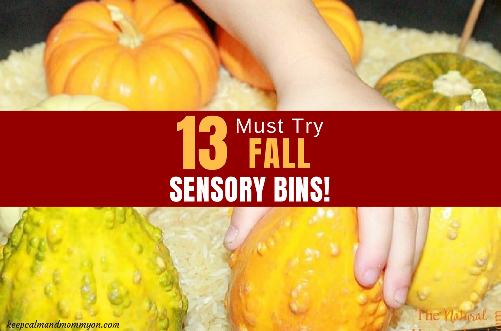 13 Fall Sensory Play Bins!