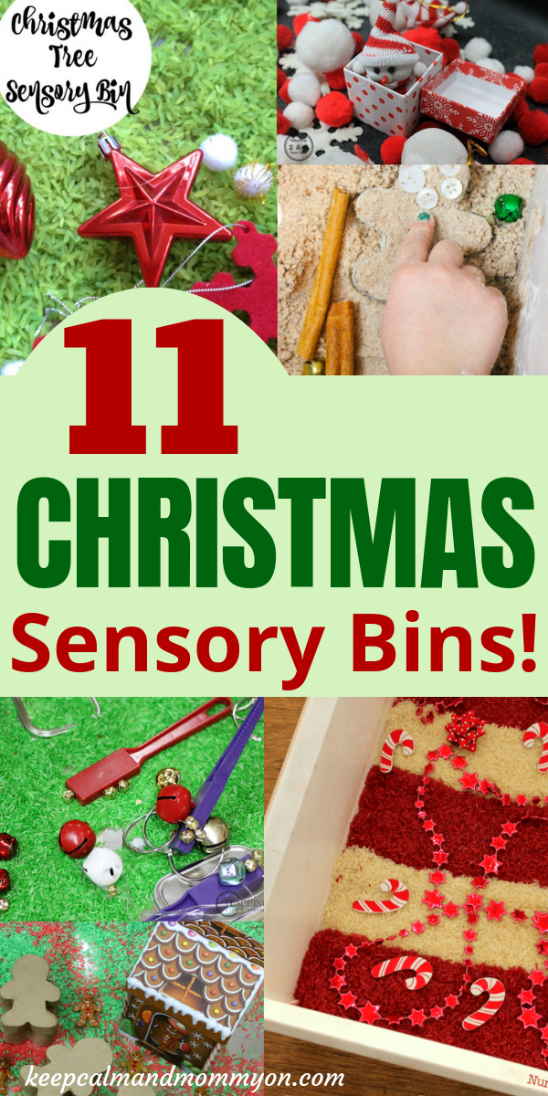 Christmas Sensory Bin