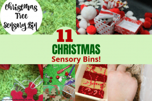 Christmas Sensory Bin