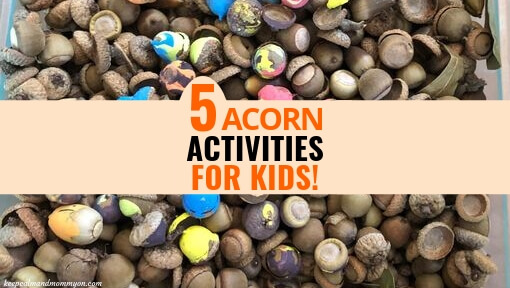 5 Acorn Activities for Kids!