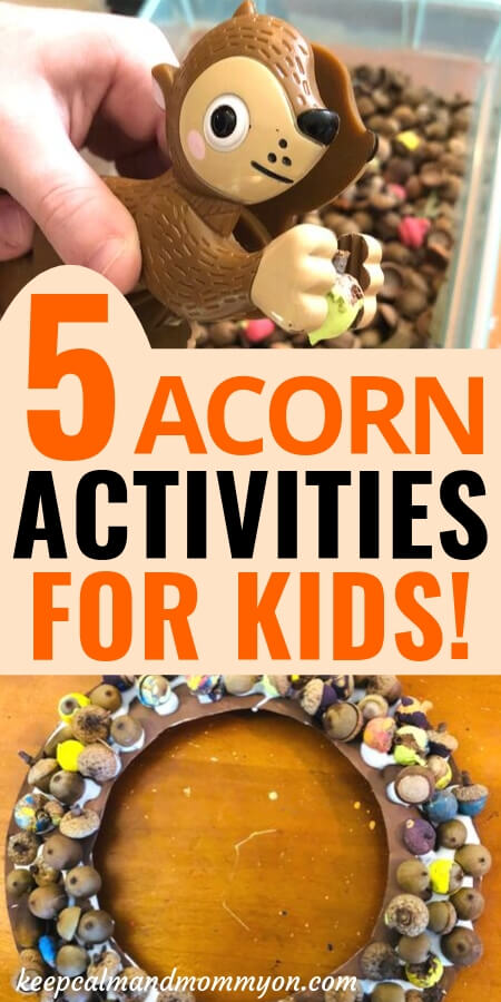 Acorn Activities