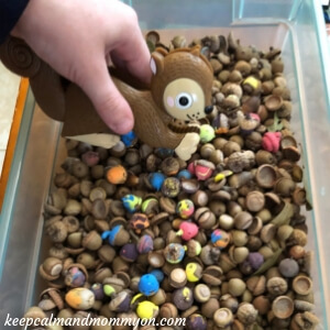 Acorn Sensory Bin