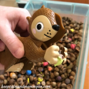 Acorn Sensory Bin